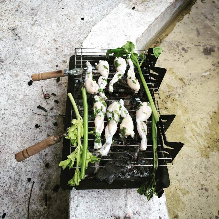 Impromptu post-salon BBQ of frog legs and celery, courtesy of Dean Baldwin. Image courtesy of Leila Timmins.